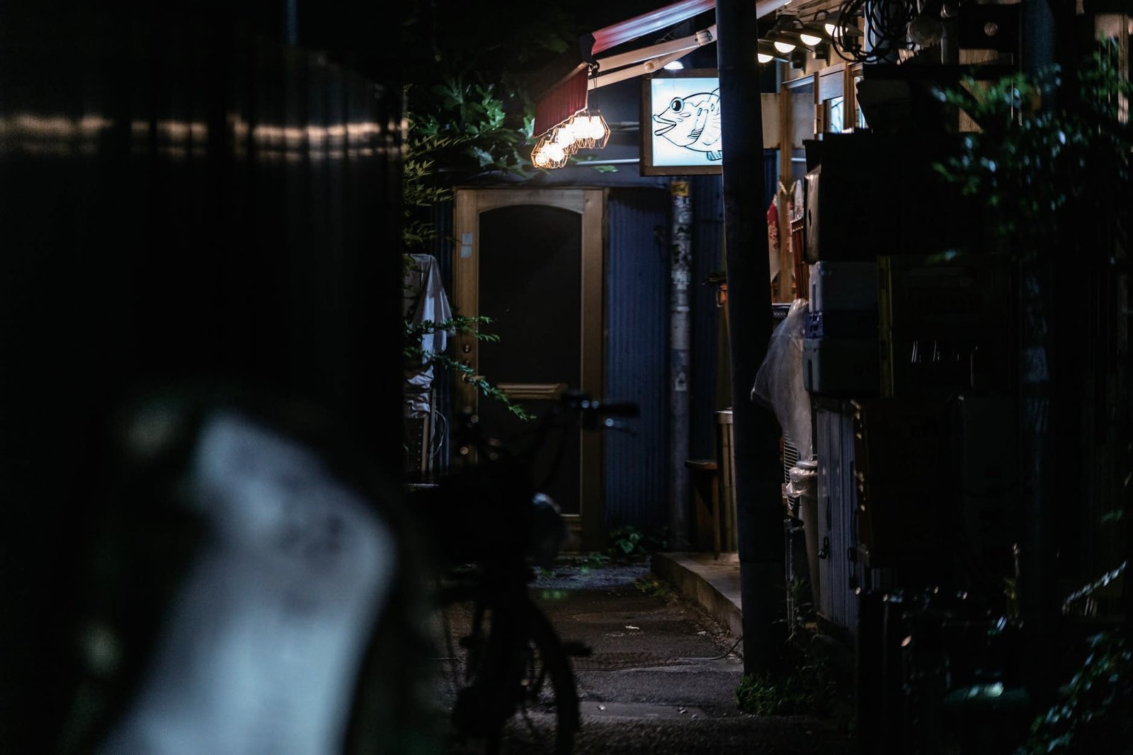 夜の路地の明かり