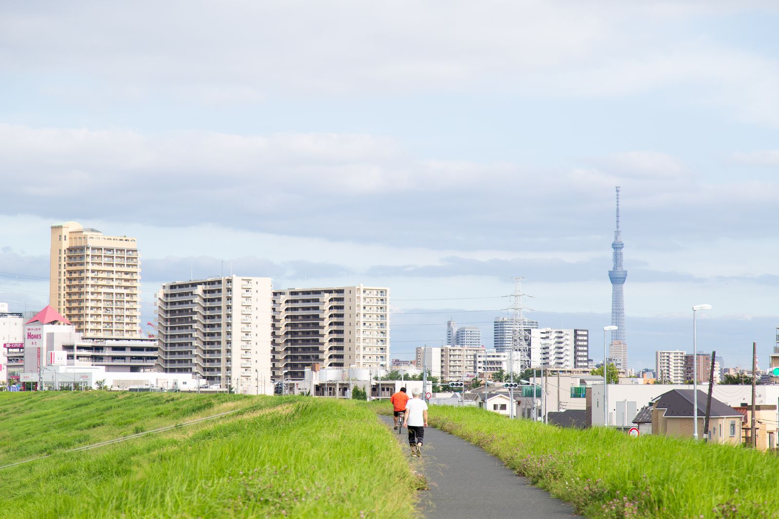 荒川の河川敷